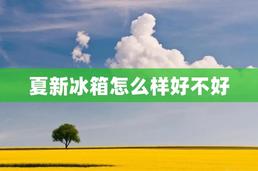 夏新冰箱怎么样好不好 夏新冰箱怎么样好不好