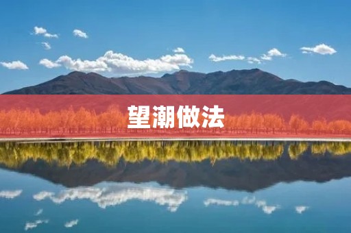 望潮做法:感受大自然的魅力 望潮做法:感受大自然的魅力