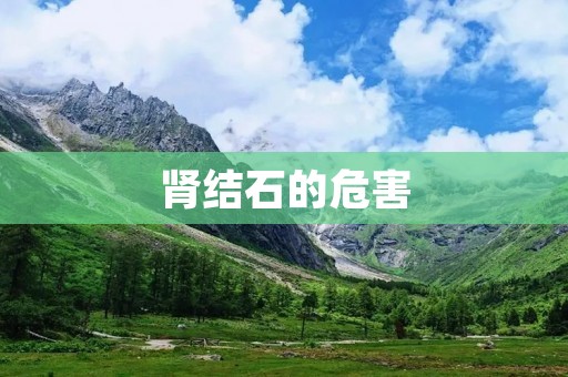 肾结石的危害:了解病症,预防为主