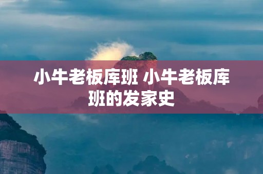 小牛老板库班 小牛老板库班的发家史