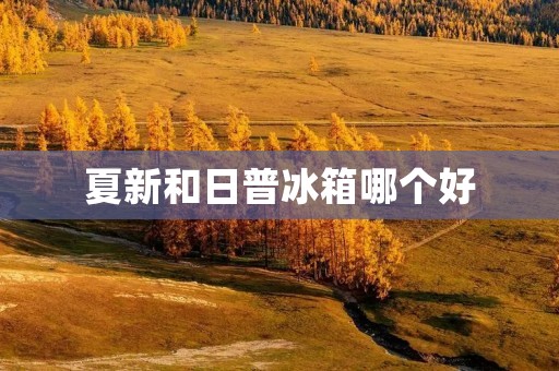 夏新和日普冰箱哪个好