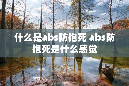 什么是abs防抱死 abs防抱死是什么感觉