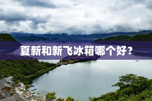 夏新和新飞冰箱哪个好? 夏新和新飞冰箱哪个好?