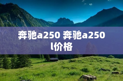 奔驰a250 奔驰a250l价格