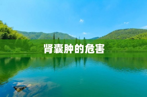 肾囊肿的危害:了解肾囊肿带来的健康风险