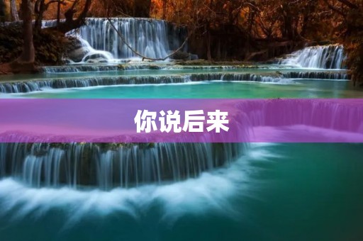 你说后来:人生中的选择与转变