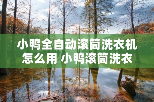 小鸭全自动滚筒洗衣机怎么用 小鸭滚筒洗衣机怎样拆装滚筒