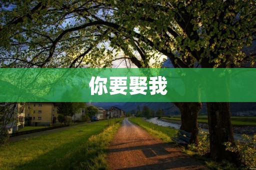 你要娶我:一场爱的冒险