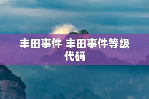 丰田事件 丰田事件等级代码