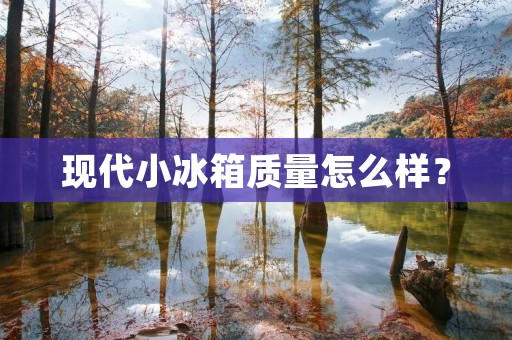 现代小冰箱质量怎么样? 现代小冰箱质量怎么样?