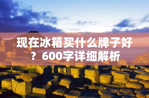 现在冰箱买什么牌子好？600字详细解析