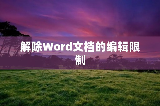 解除Word文档的编辑限制