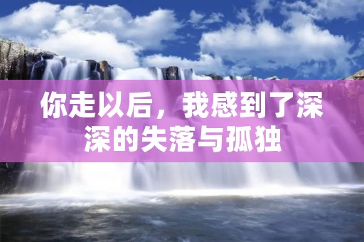 你走以后,我感到了深深的失落与孤独