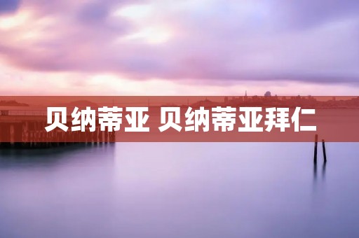 贝纳蒂亚 贝纳蒂亚拜仁