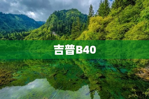 吉普B40:探秘越野王者的传奇之路 吉普B40:探秘越野王者的传奇之路