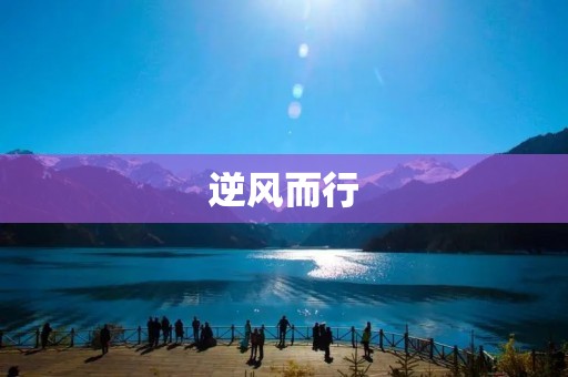 逆风而行:坚持信念,追逐梦想