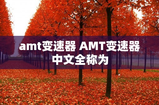 amt变速器 AMT变速器中文全称为