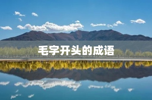 毛字开头的成语