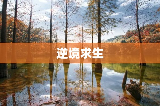 逆境求生:坚韧不拔的生命之舞