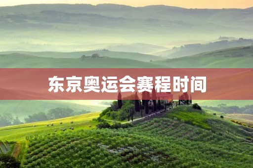 东京奥运会赛程时间