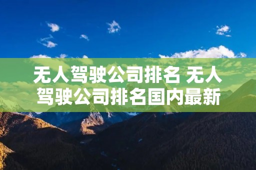 无人驾驶公司排名 无人驾驶公司排名国内最新