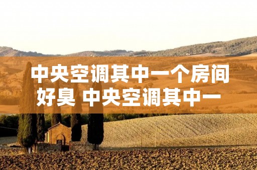 中央空调其中一个房间好臭 中央空调其中一个房间好臭怎么办