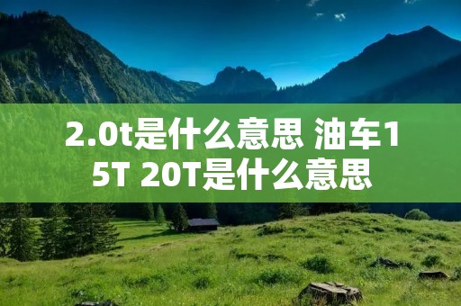 2.0t是什么意思 油车15T 20T是什么意思