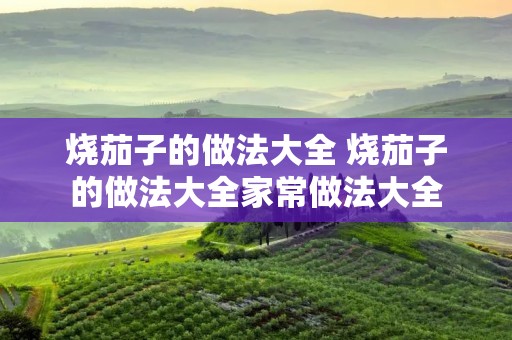 烧茄子的做法大全 烧茄子的做法大全家常做法大全