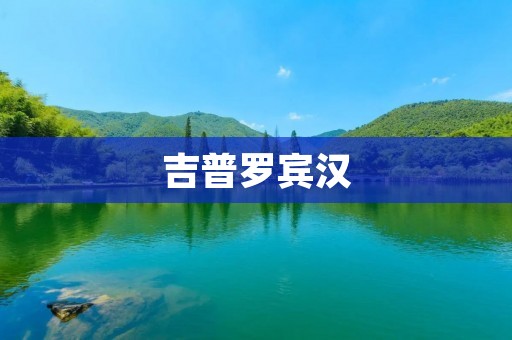 吉普罗宾汉：捍卫正义的传奇英雄