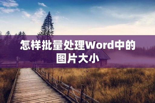 怎样批量处理Word中的图片大小