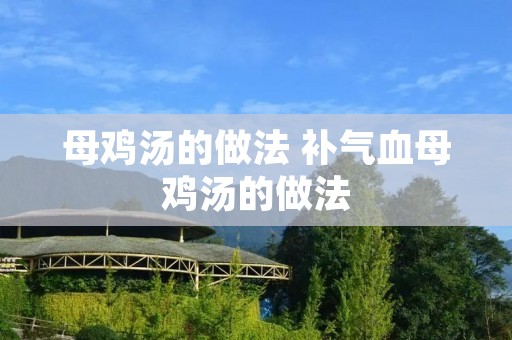 母鸡汤的做法 补气血母鸡汤的做法