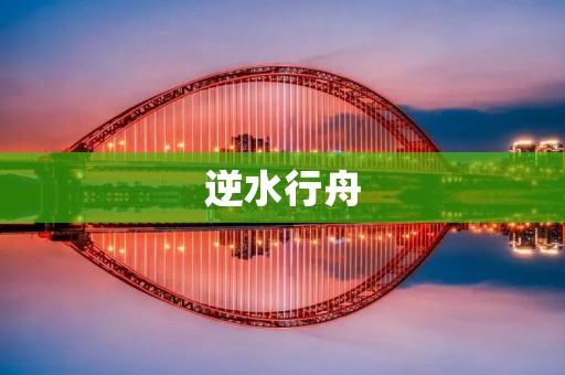 逆水行舟:坚持与奋斗的力量