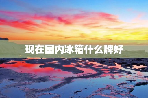 现在国内冰箱什么牌好 现在国内冰箱什么牌好