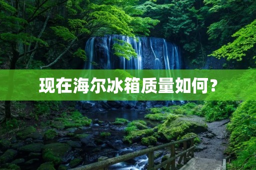 现在海尔冰箱质量如何? 现在海尔冰箱质量如何?