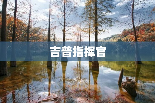 吉普指挥官:探索无限可能的越野传奇 吉普指挥官:探索无限可能的越野传奇