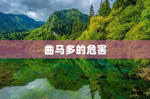 曲马多的危害:对人体健康的潜在威胁