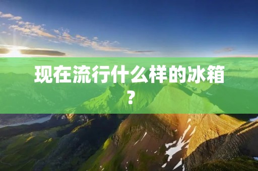 现在流行什么样的冰箱？