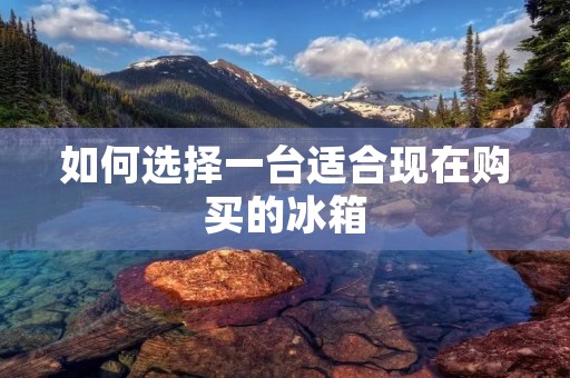 如何选择一台适合现在购买的冰箱 如何选择一台适合现在购买的冰箱