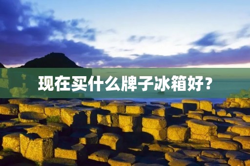 现在买什么牌子冰箱好? 现在买什么牌子冰箱好?