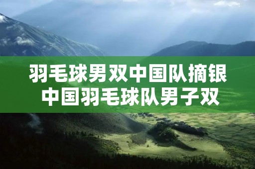 羽毛球男双中国队摘银 中国羽毛球队男子双打