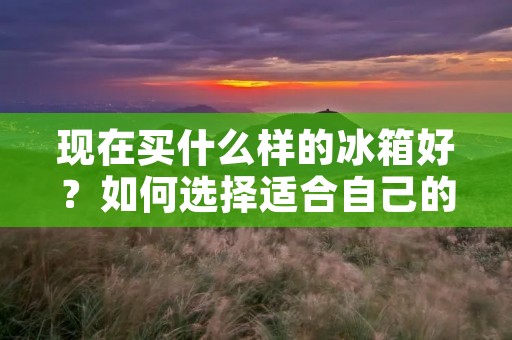 现在买什么样的冰箱好?如何选择适合自己的冰箱? 现在买什么样的冰箱好?如何选择适合自己的冰箱?