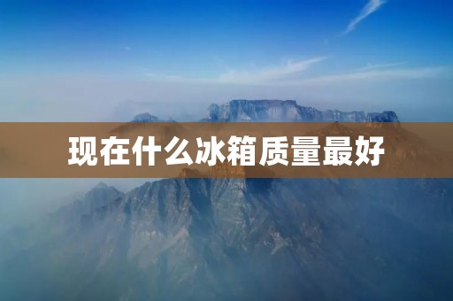现在什么冰箱质量最好 现在什么冰箱质量最好