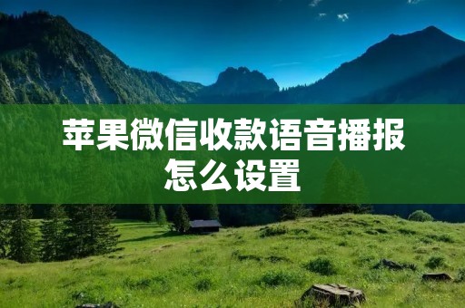 苹果微信收款语音播报怎么设置