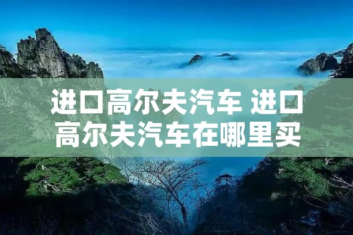 进口高尔夫汽车 进口高尔夫汽车在哪里买