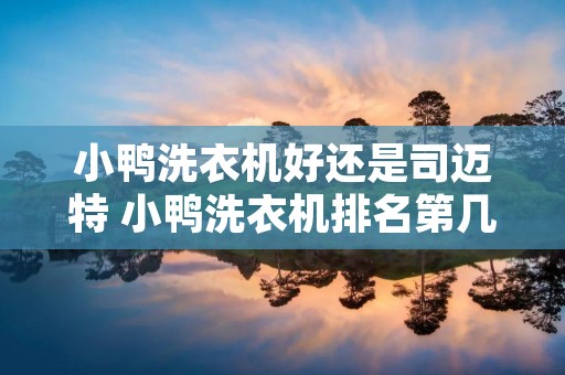 小鸭洗衣机好还是司迈特 小鸭洗衣机排名第几