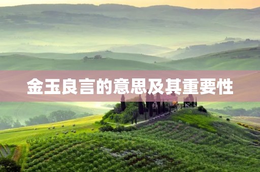 金玉良言的意思及其重要性