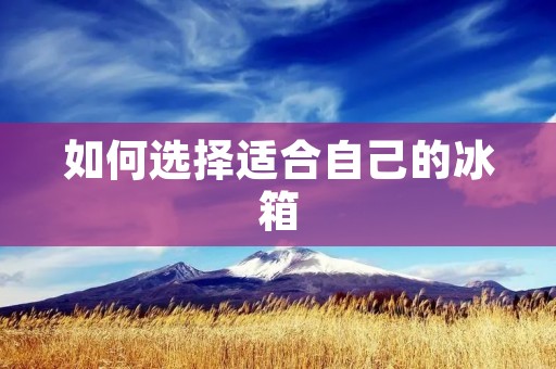 如何选择适合自己的冰箱 如何选择适合自己的冰箱