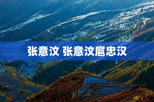 张意汶 张意汶扈忠汉 张意汶 张意汶扈忠汉