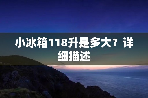小冰箱118升是多大？详细描述