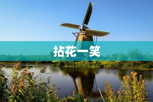 拈花一笑:微笑的力量与意义